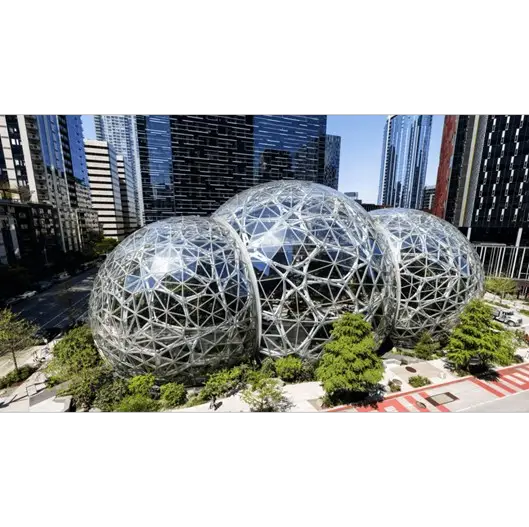 Workshop Internacional de Seattle